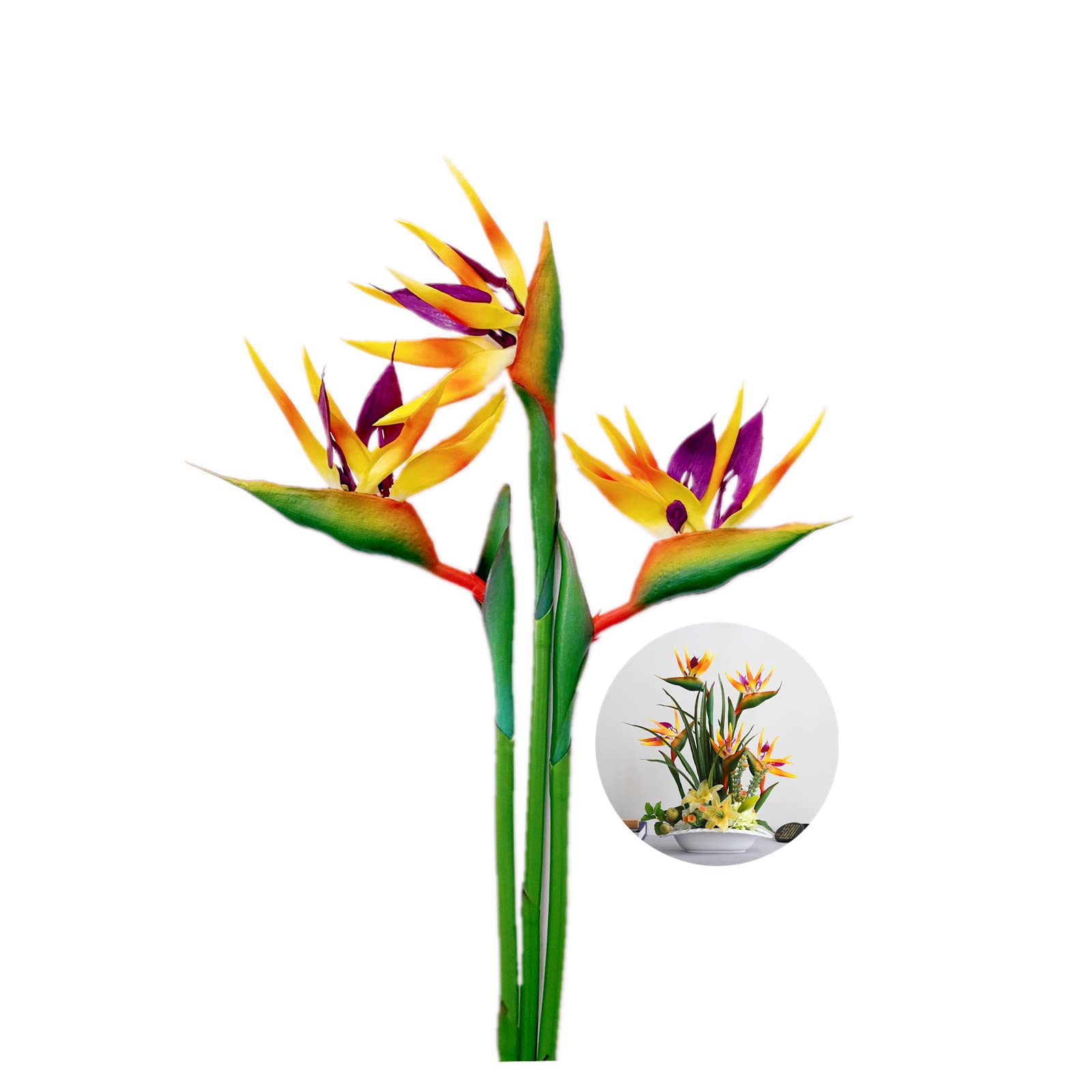 Amazon.co.jp: パラダイスの鳥 大型 32インチ 恒久的な花 UV耐性